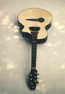 D-shaped soundhole steel-string guitar